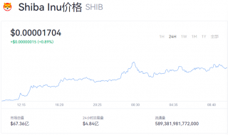 SHIB今天最新价格多少钱？SHIB价格最新动态消息