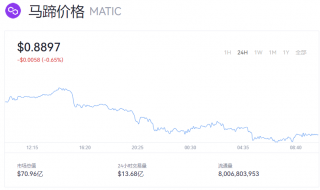 MATIC币最新价格 一MATIC马蹄币等于多少钱？