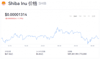 SHIB今日价格多少钱？SHIB价格最新动态报道