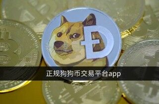 正规狗狗币交易平台app 哪里买狗币比较正规