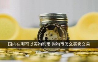 国内在哪可以买狗狗币 狗狗币怎么买卖交易