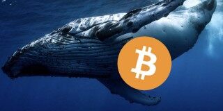 砸盘？沉睡九年巨鲸1周内转出1.5万枚比特币 部分流向币安、Kraken
