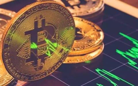 莱特币今日美元价格是多少 _ 莱特币今日最新价格是多少