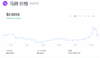MATIC币实时动态 一个马蹄币=多少美元？