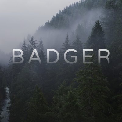 Badger钱包-Badger钱包介绍-Badger钱包下载
