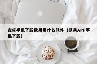 安卓手机下载欧易用什么软件（欧易APP苹果下载）