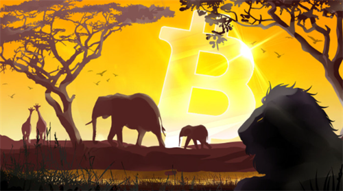 南非杂货巨头Pick n Pay打算在全国所有商店接受比特币