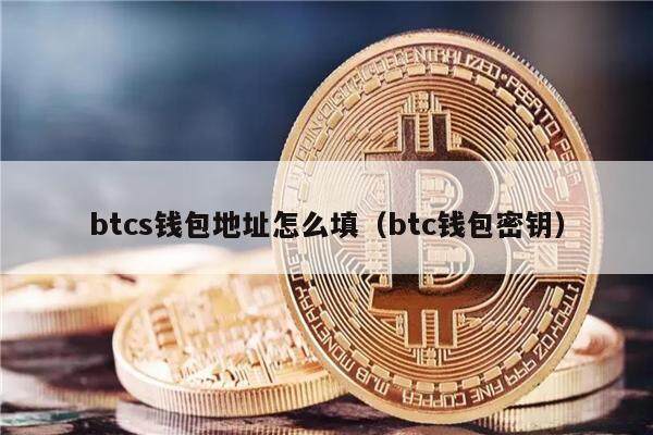 btcs钱包地址怎么填（btc钱包密钥）-第1张图片-欧意下载