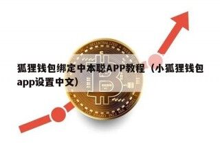 狐狸钱包绑定中本聪APP教程（小狐狸钱包app设置中文）