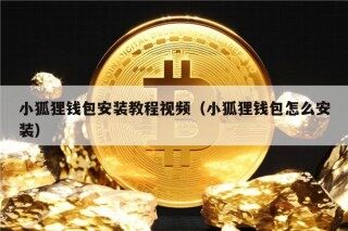 小狐狸钱包安装教程视频（小狐狸钱包怎么安装）