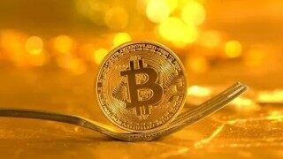 派币今天最新价格 – 派币价格走势