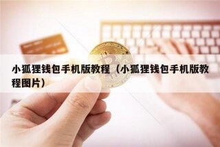 小狐狸钱包手机版教程（小狐狸钱包手机版教程图片）
