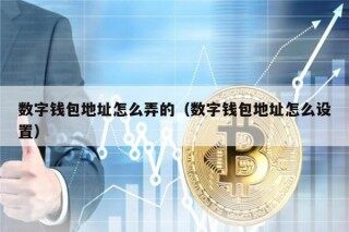 数字钱包地址怎么弄的（数字钱包地址怎么设置）