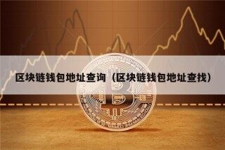 区块链钱包地址查询（区块链钱包地址查找）