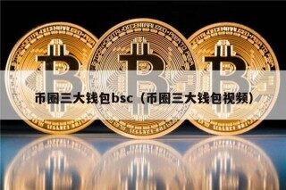 币圈三大钱包bsc（币圈三大钱包视频）