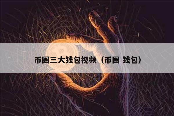 币圈三大钱包视频（币圈 钱包）-第1张图片-欧意下载