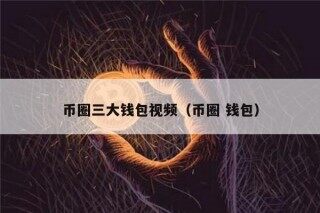 币圈三大钱包视频（币圈 钱包）