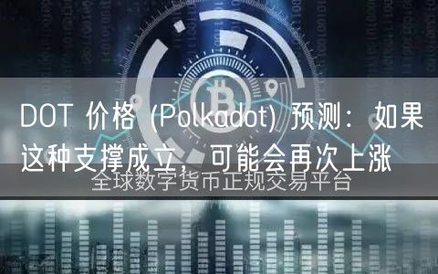 DOT 价格  _ Polkadot 预测：如果这种支撑成立，可能会再次上涨