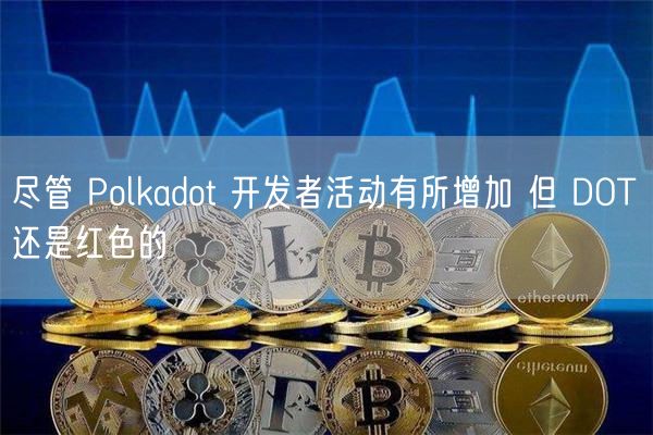 尽管 Polkadot 开发者活动有所增加 但 DOT 还是红色的