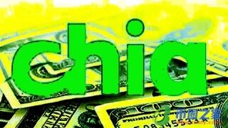 奇亚BIAN卓最新版下载地址 Chia币最新版下载链接