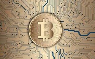 数字货币排名最新公布 十大交易所排名都有谁