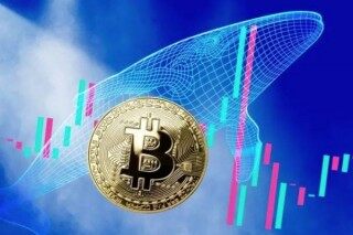币圈2023最新软件买卖排行（2月份币币交易所公布）