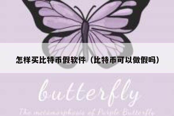 怎样买比特币假软件（比特币可以做假吗）-第1张图片-欧意下载