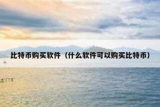 比特币购买软件（什么软件可以购买比特币）