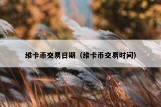 维卡币交易日期（维卡币交易时间）