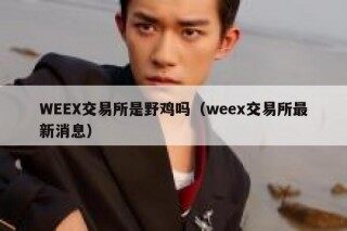 WBB交易所是野鸡吗（wbb交易所最新消息）