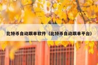 比特币自动跟单软件（比特币自动跟单平台）