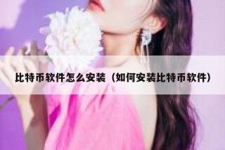 比特币软件怎么安装（如何安装比特币软件）