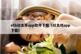 btb以太币app软件下载（以太坊app下载）
