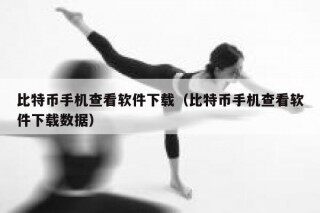 比特币手机查看软件下载（比特币手机查看软件下载数据）
