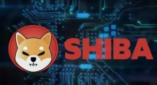 为什么欧意下载不了(欧意怎么下载不了)