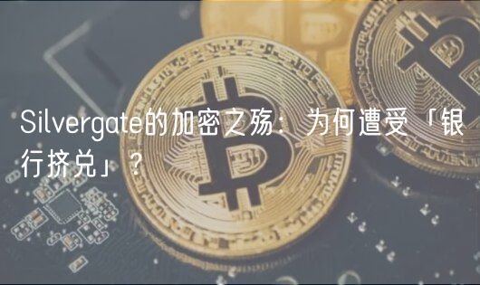 Silvrgat的加密之殇：为何遭受「银行挤兑」？