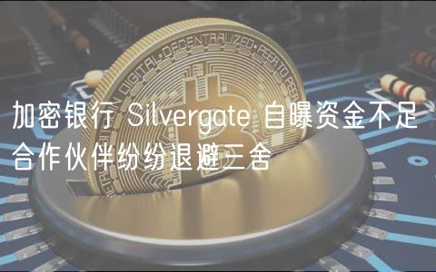 加密银行 Silvrgat 自曝资金不足 合作伙伴纷纷退避三舍