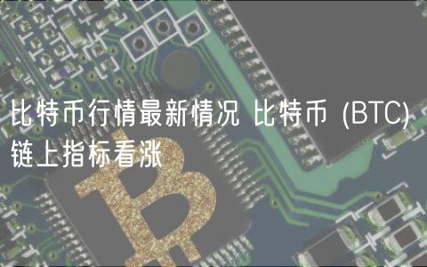 比特币行情最新情况 比特币  _ BTC 链上指标看涨