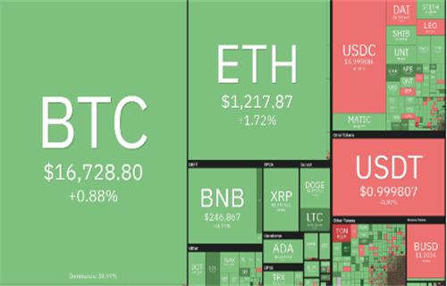 01.01-01.05币圈每周行情指南：SP、DY、BTC、TH、BNB、RP、DOG、ADA、MATIC、LTC