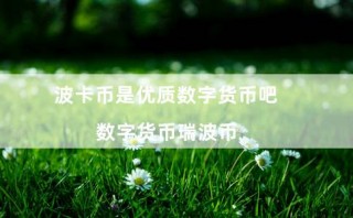 波卡币是优质数字货币吧（数字货币瑞波币）