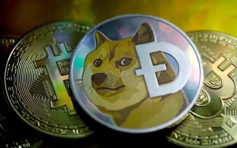 Dogcoin Whal 在 3 笔不同的交易中从未知钱包转移了 1 亿美元
