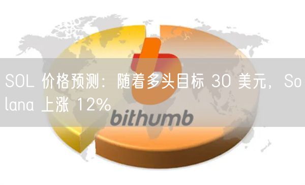 SOL 价格预测：随着多头目标 30 美元，Solana 上涨 12%