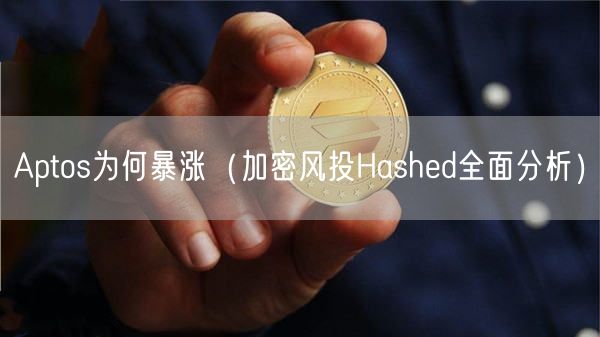 Aptos为何暴涨（加密风投Hashd全面分析）