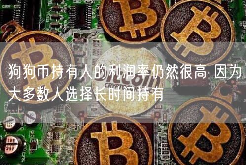 狗狗币持有人的利润率仍然很高 因为大多数人选择长时间持有