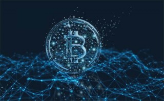 比特币交易手续费 - 比特币交易手续费可以人为