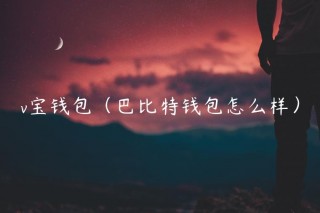 v宝钱包（巴比特钱包怎么样）