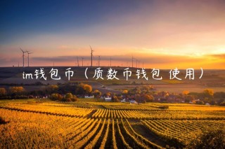 im钱包币（质数币钱包 使用）