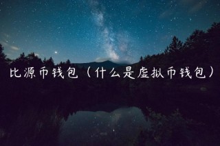 比源币钱包（什么是虚拟币钱包）