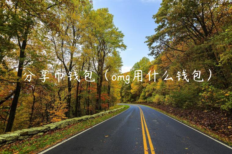 分享币钱包（omg用什么钱包）-第1张图片-欧意下载