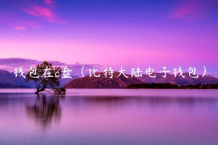 钱包在c盘（比特大陆电子钱包）-第1张图片-欧意下载
